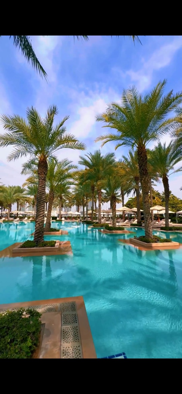 Palm oasis 🏝️ in Dubai 🇦🇪 at royal mirage